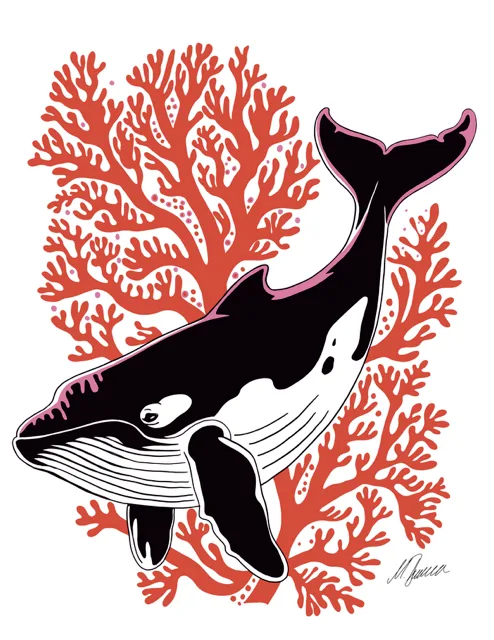 Orca and Coral Art Print