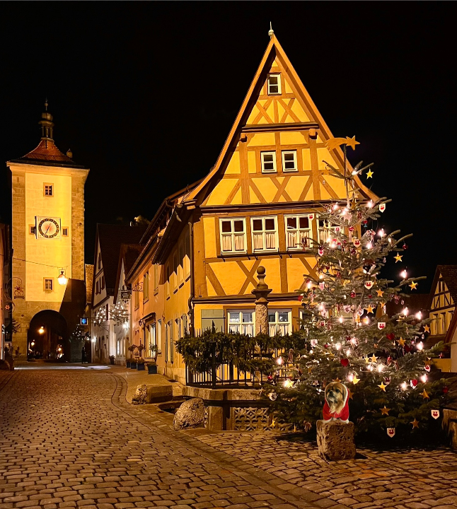 Our hometown at Christmas time! Home to a famous Christmas market.