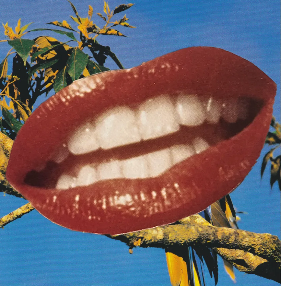 Nervous Little Mouth