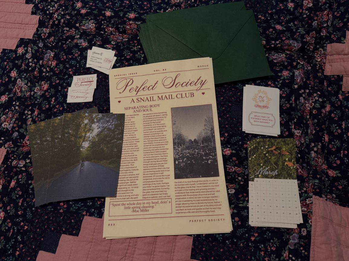 Perfect Society gallery 1