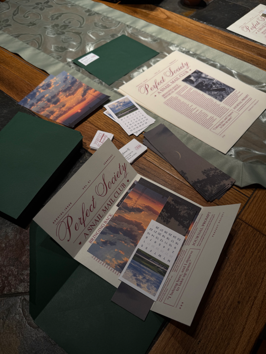 Perfect Society gallery 2